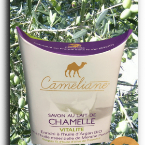 Labellisation du lait de chamelle : finalisation du projet - Camel