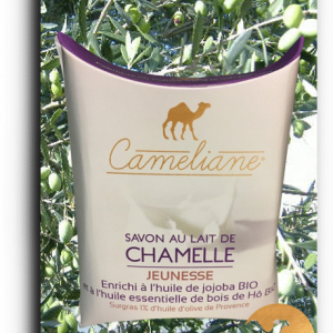 12-savon-au-lait-de-chamelle-Jeunesse-camel-idee-camel-milk-2