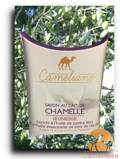 12-savon-au-lait-de-chamelle-Jeunesse-camel-idee-camel-milk-2