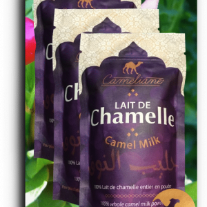 Lait de chamelle en poudre (Doypack de 100gr) - BioMiel&Co