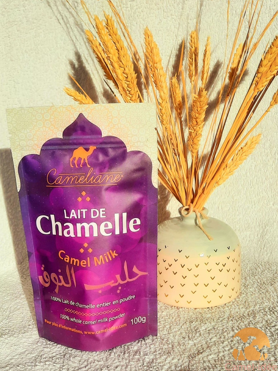 Méga Pack - Lait de chamelle en poudre 300 g - Cure 1 mois