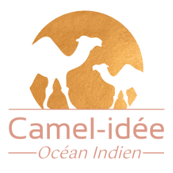 Logo Camel-Idée Ocean Indien 250