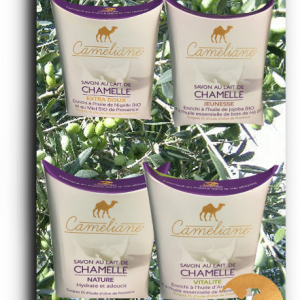 Lot-de-4-savons-au-lait-de-chamelle-camel-idee-camel-milk-3