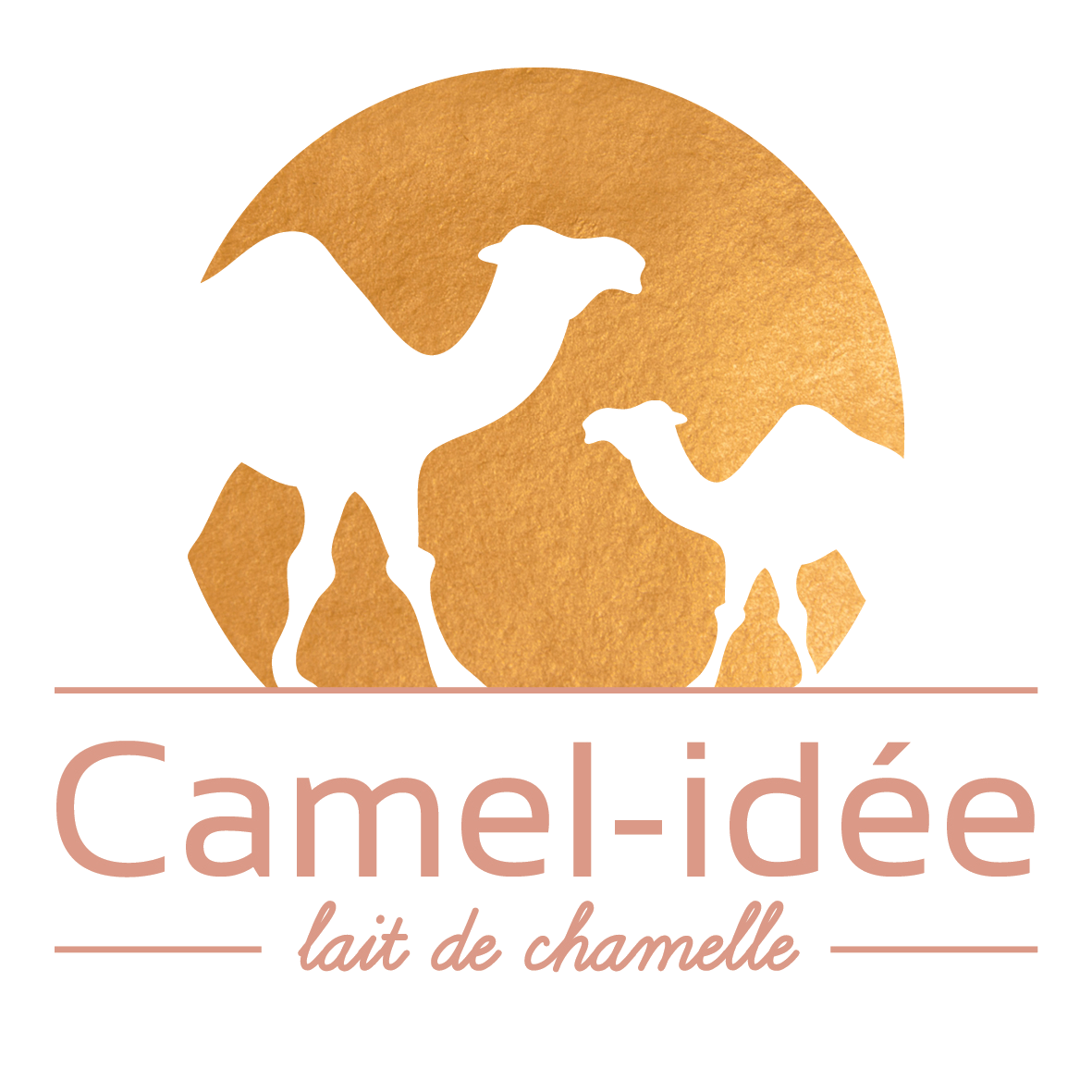 logo-camel-idee-transparent